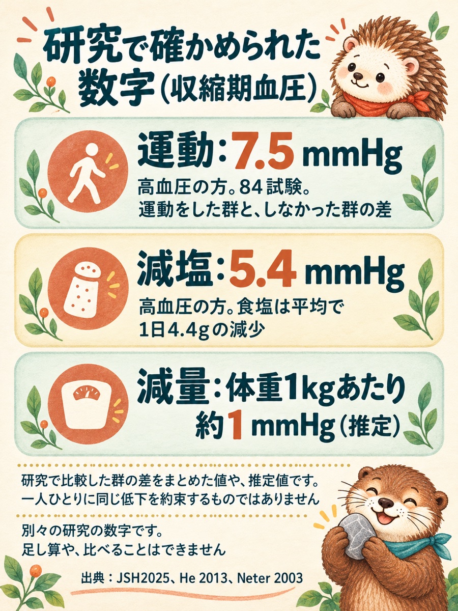 研究で確かめられた数字(収縮期血圧)。運動:7.5 mmHg。高血圧の方。84試験。運動をした群と、しなかった群の差。減塩:5.4 mmHg。高血圧の方。食塩は平均で1日4.4gの減少。減量:体重1kgあたり約1 mmHg(推定)。研究で比較した群の差をまとめた値や、推定値です。一人ひとりに同じ低下を約束するものではありません。別々の研究の数字です。足し算や、比べることはできません。出典:JSH2025、He 2013、Neter 2003